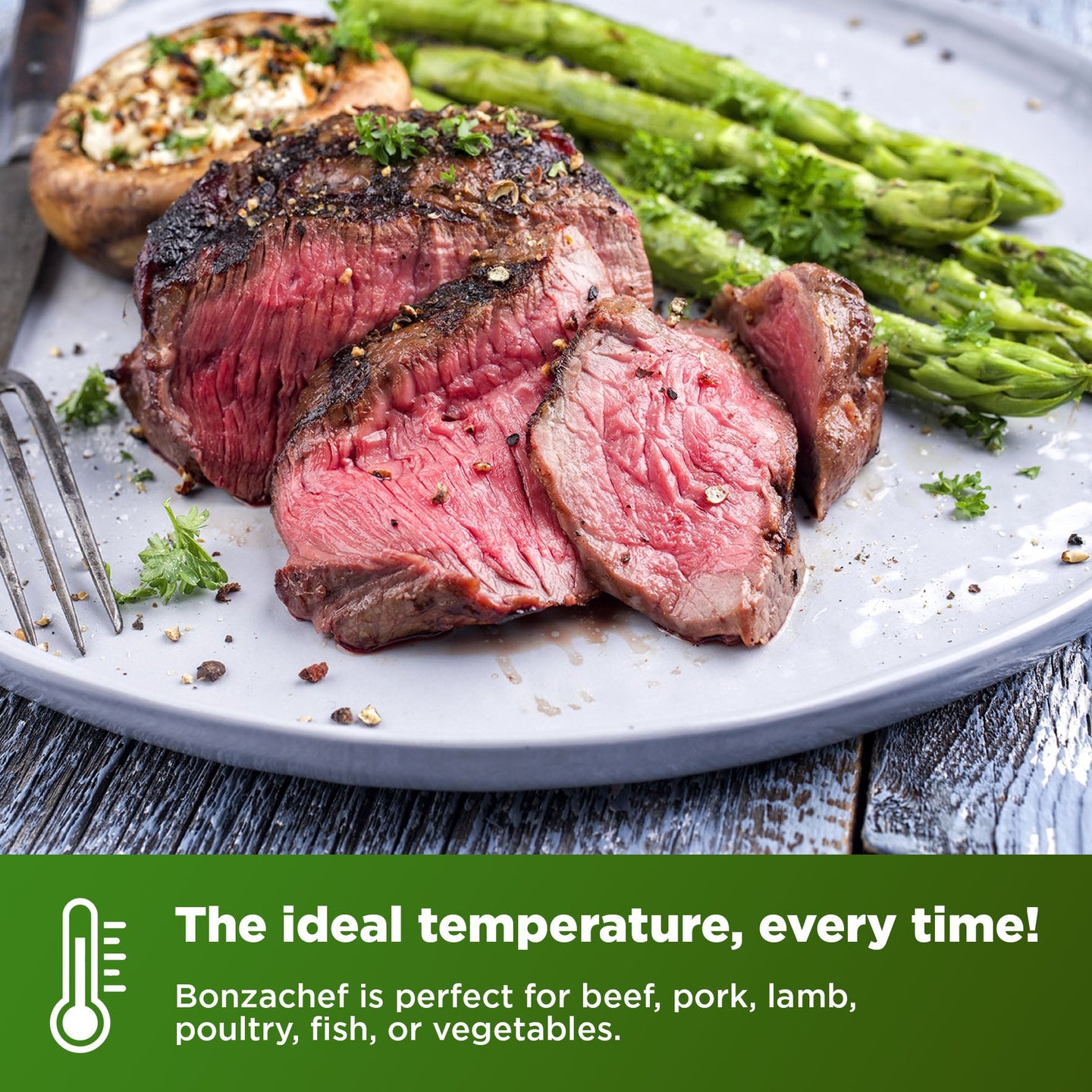 Bonzachef Professional Grade Sous Vide Cooker detail view 4